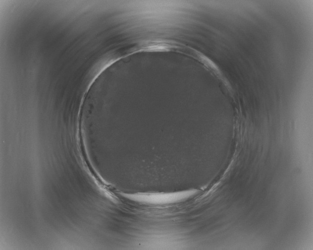 X0000064721194200602101116