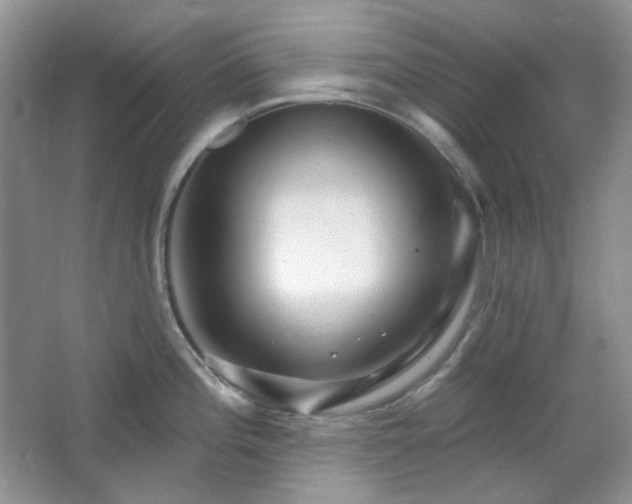 X0000064721196200602101116