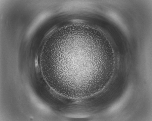 X0000064721198200602101116