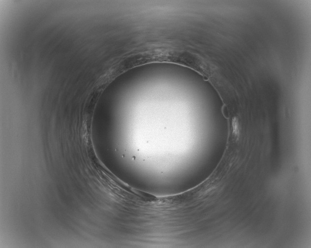 X0000064721203200602101115