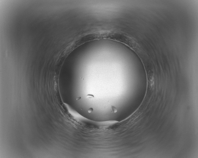 X0000064721204200602101115