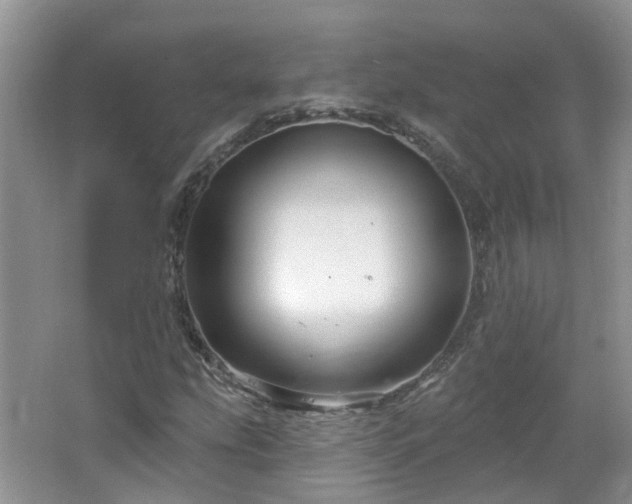 X0000064721207200602101115