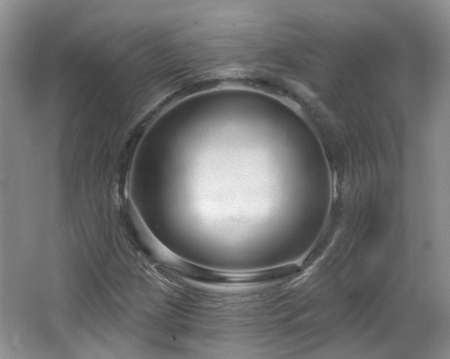 X0000064721209200602101115