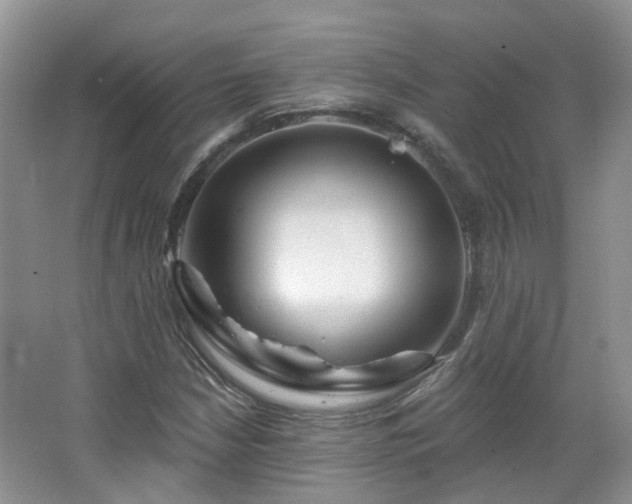 X0000064721210200602101115