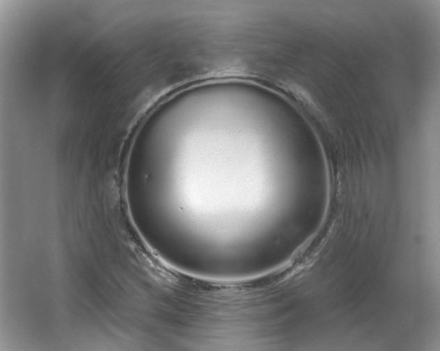 X0000064721212200602101115