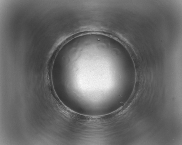 X0000064721215200602101115