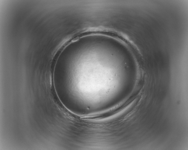 X0000064721221200602101115