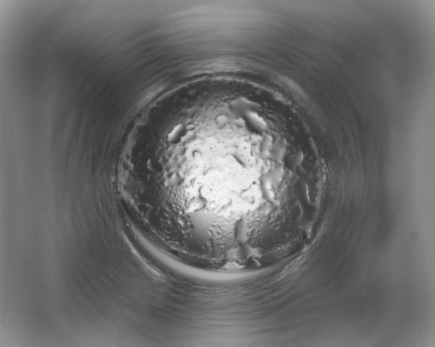 X0000064721225200602101115