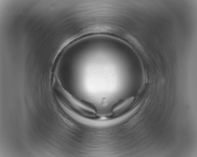 X0000064721226200602101115