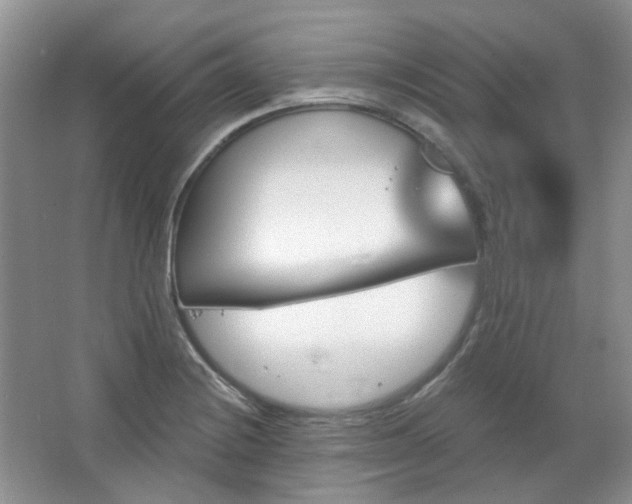 X0000064721228200602101115