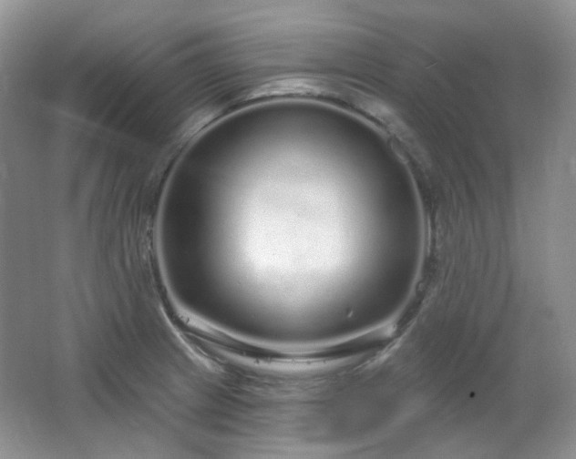 X0000064721233200602101115