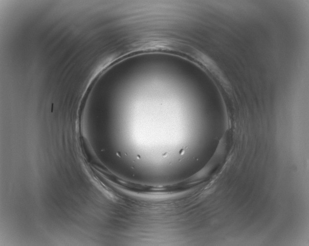 X0000064721234200602101115