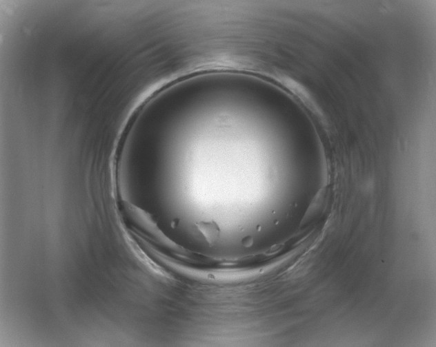 X0000064721238200602101115