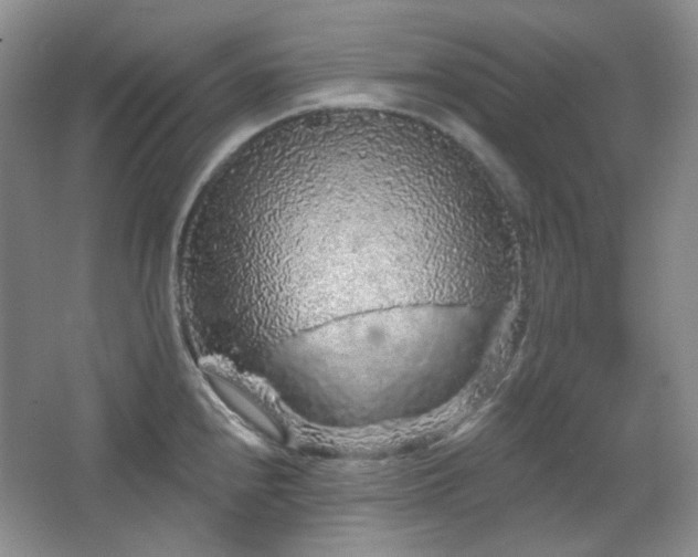 X0000064721240200602101115