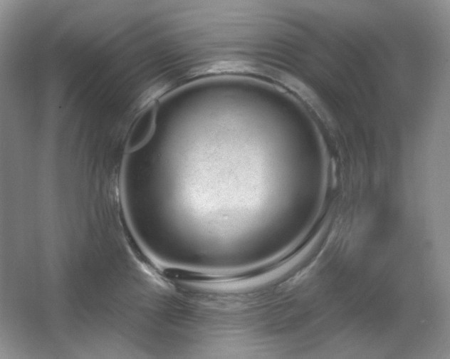 X0000064721241200602101115