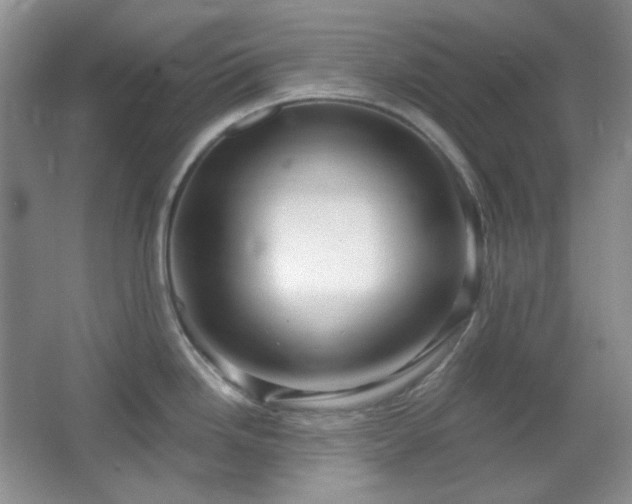 X0000064721246200602101116
