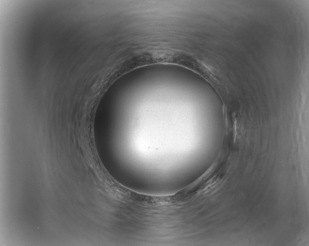 X0000064721249200602101115