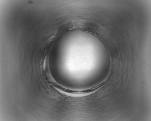 X0000064721250200602101115