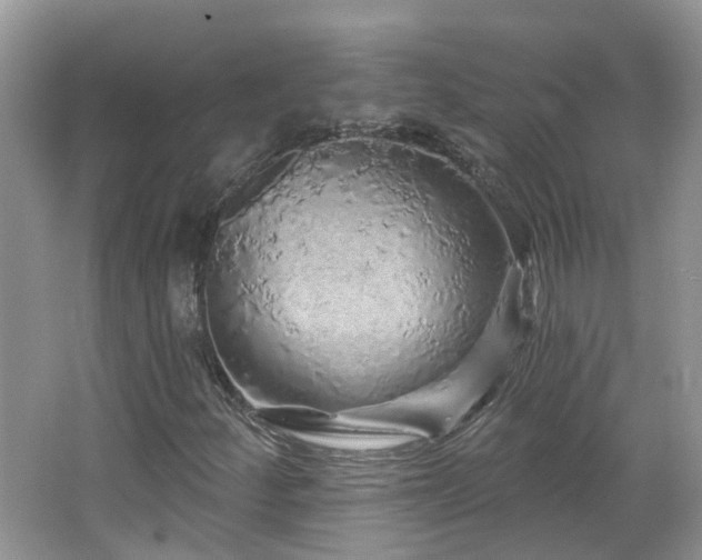 X0000064721252200602101115