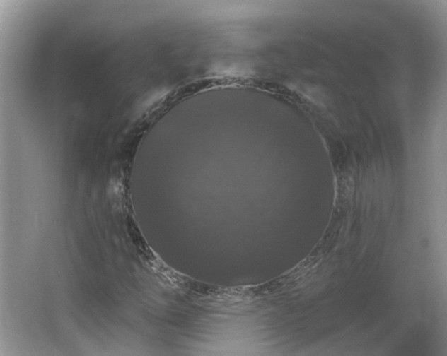 X0000064721254200602101115