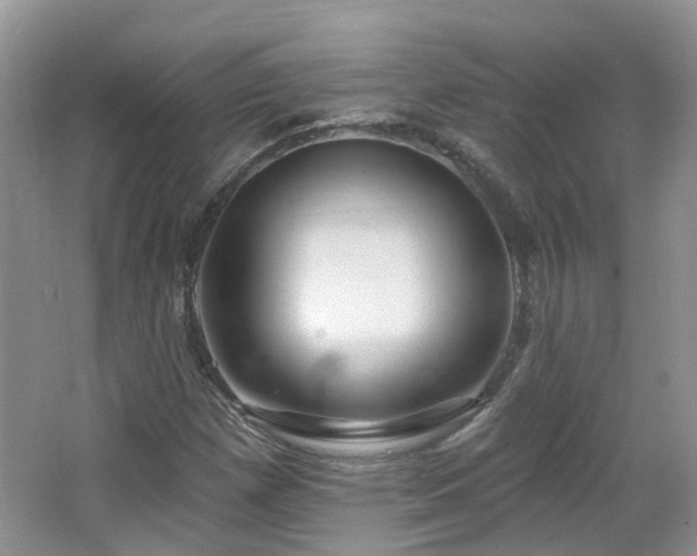 X0000064721257200602101115