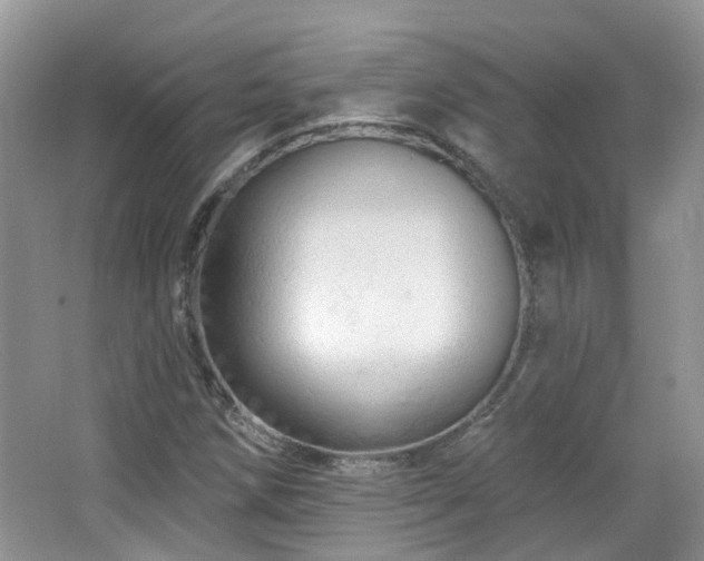X0000064721258200602101115