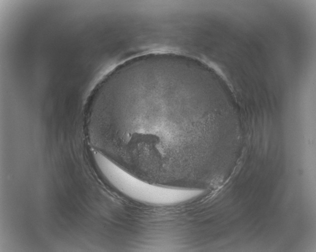 X0000064721263200602101115