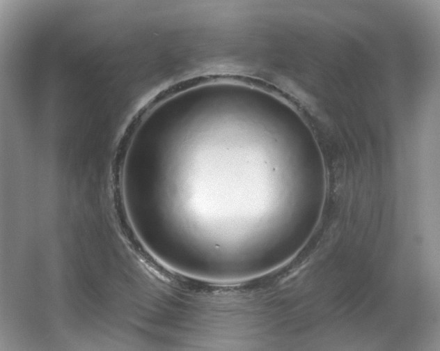 X0000064721264200602101115