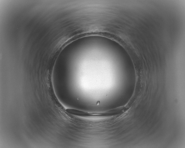 X0000064721265200602101114
