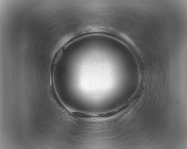 X0000064721269200602101114