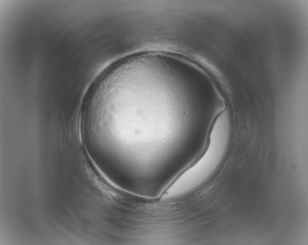 X0000064721272200602101114