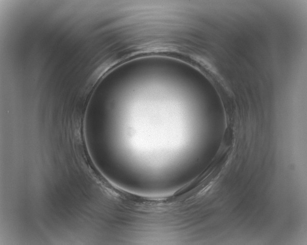 X0000064721273200602101114