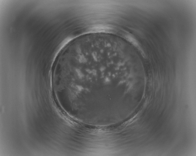 X0000064721275200602101114