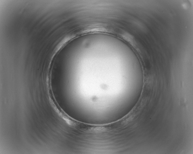 X0000064721282200602101114