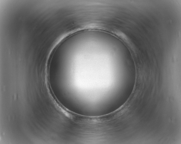 X0000064721286200602101114