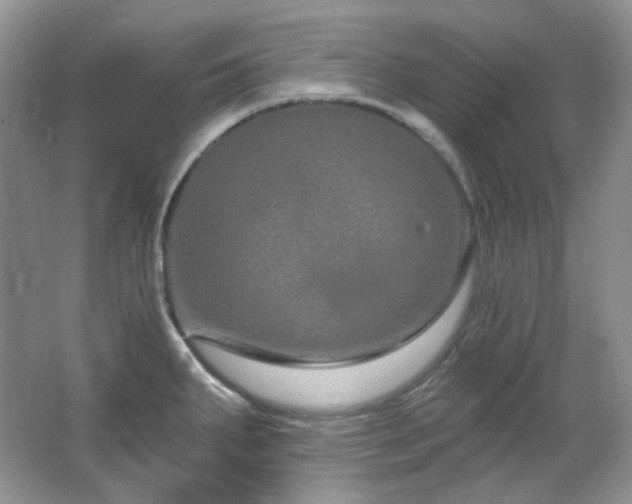 X0000064721287200602101114