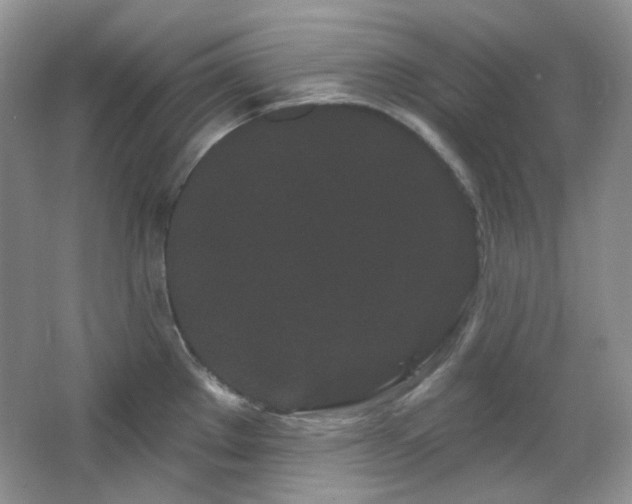 X0000064721289200602101114