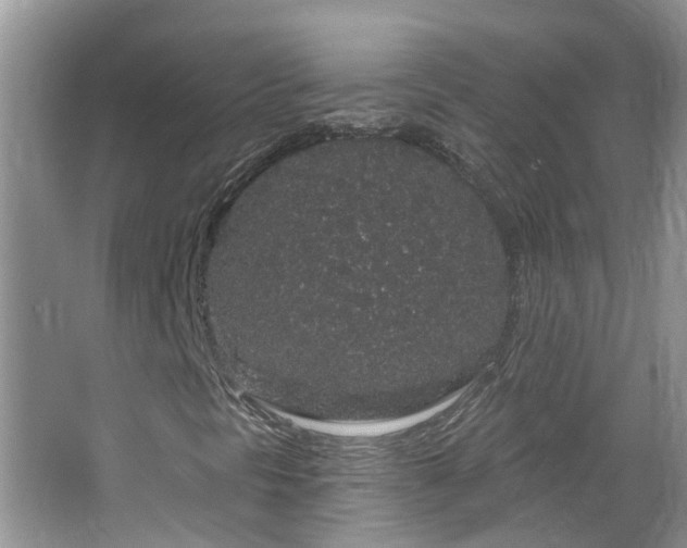 X0000064721297200602101113