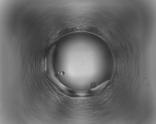 X0000064721298200602101113