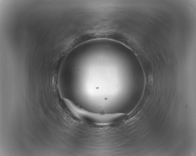X0000064721300200602101113