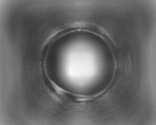 X0000064721304200602101113