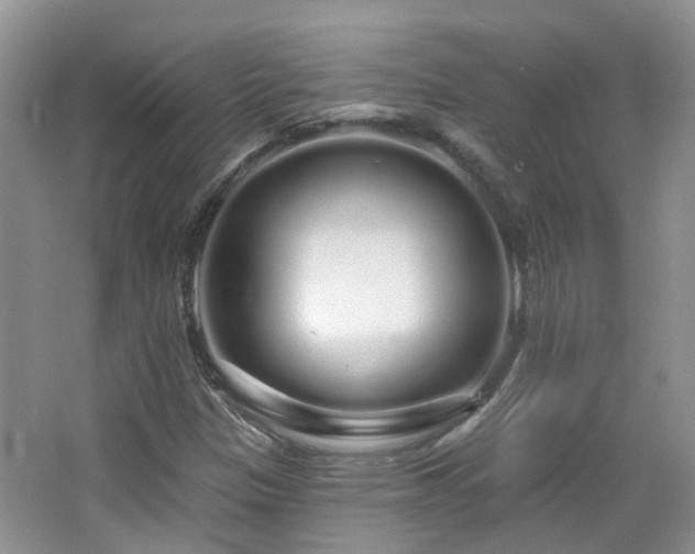 X0000064721305200602101113