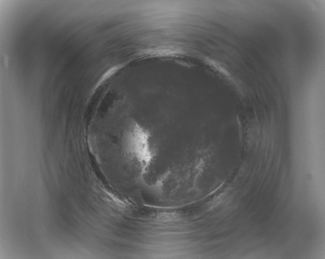 X0000064721306200602101113