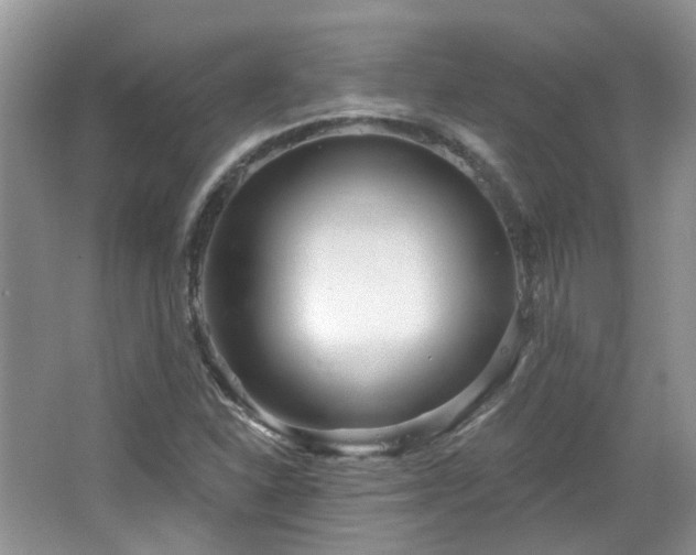 X0000064721310200602101113
