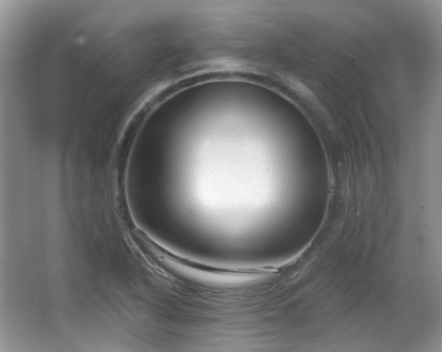 X0000064721318200602101114