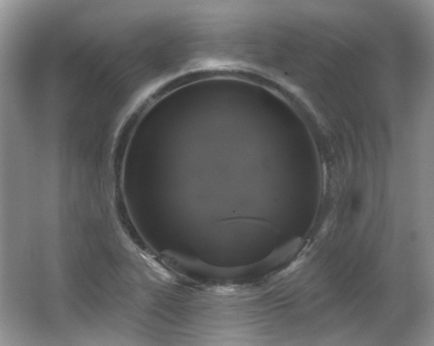 X0000064721319200602101114