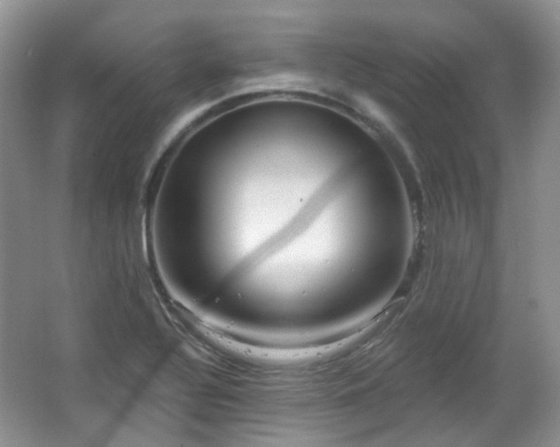 X0000064721320200602101114