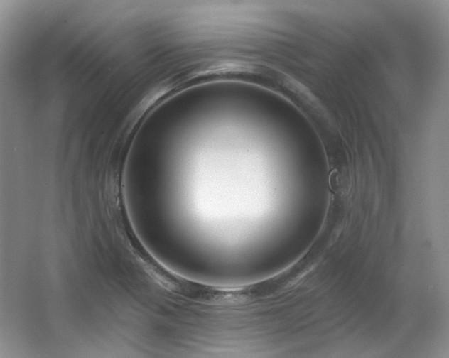X0000064721321200602101114