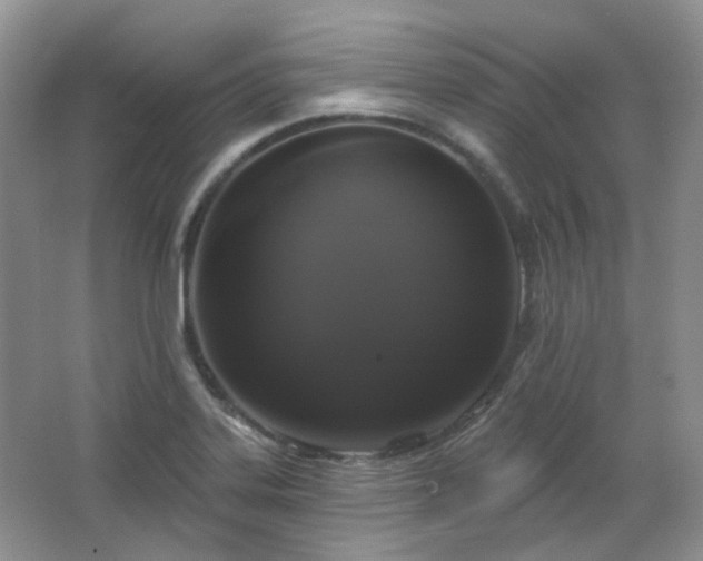 X0000064721323200602101114