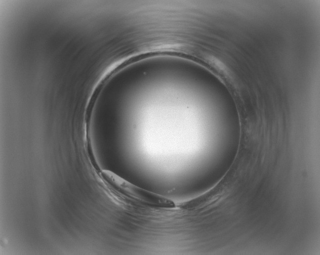 X0000064721324200602101114